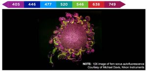 Lumencor CELESTA Light Engine——7色激光插图