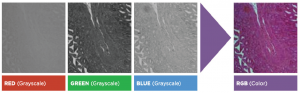 Lumencor LIDA Light Engine——RGB光源插图