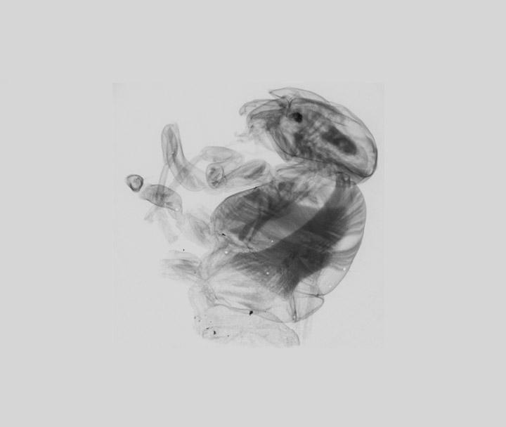 Andor 高速高灵敏 sCMOS 相机（用于物理、天文）插图16