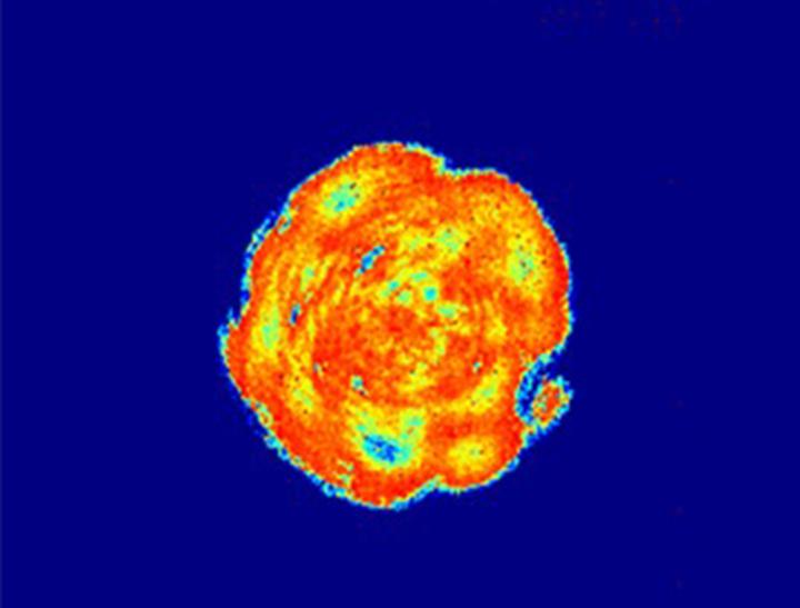 牛津Firstlight 近红外相机插图12 laser-beam-profiling-swir.71de337a7bff19fdce04a1c79c70cd3d.jpg