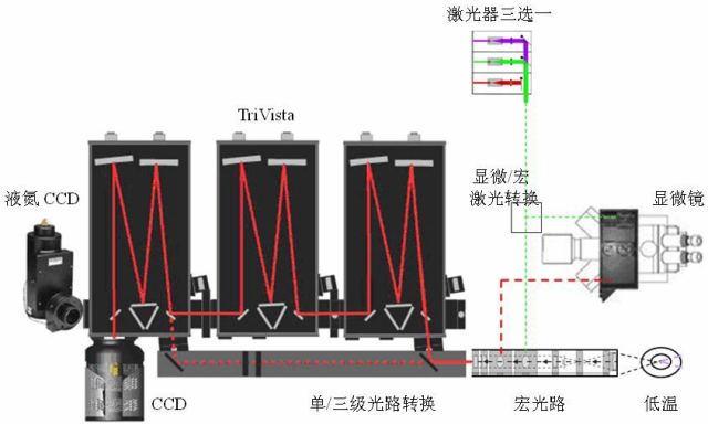 双光子显微成像插图2 双光子显微成像插图2