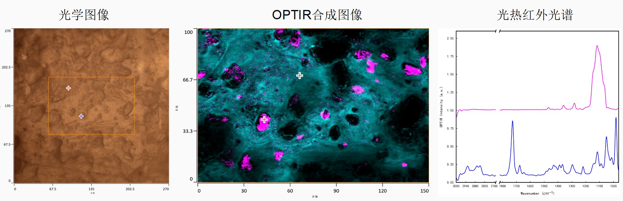 mIRage光热红外显微镜——百纳米分辨率插图19 mIRage光热红外显微镜——百纳米分辨率插图19